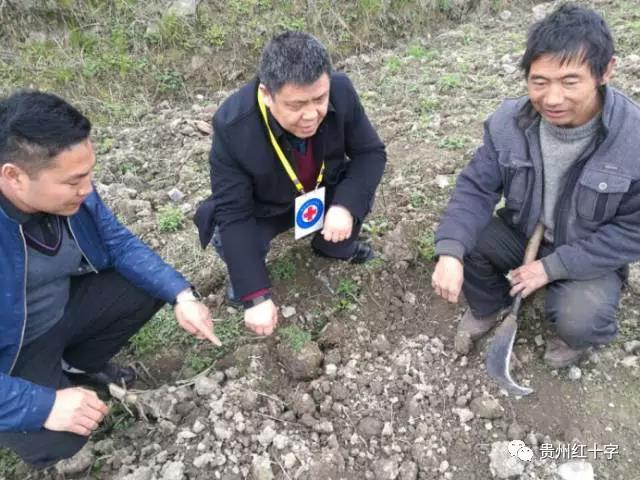 农户1.jpg