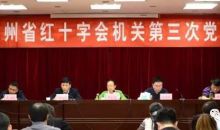 省红十字会召开机关第三次党员大会 举行换届选举