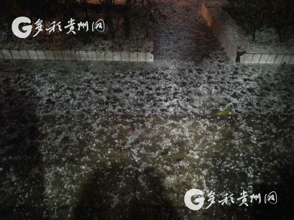 肯尼亚红十字会13日晚发表声明说，截至13日，已有约5000名埃塞俄比亚难民穿过边界抵达肯尼亚寻求庇护，未来难民人数可能会继续增加。1.jpg