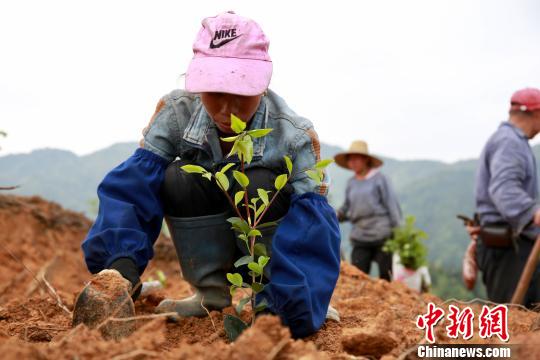 贫困县广西2.jpg