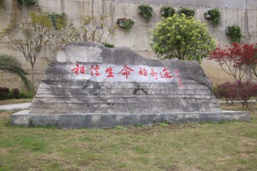 送教上门志愿服务_副本.jpg