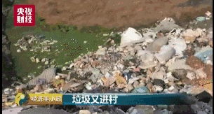 致命垃圾坑2.gif