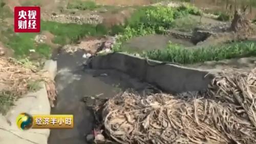 致命垃圾坑9.jpg
