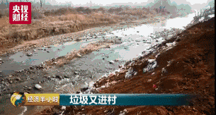 致命垃圾坑15.gif