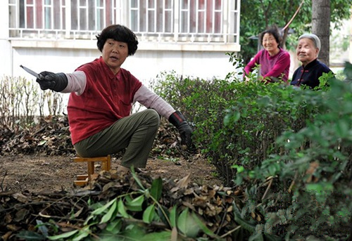 西安一小区新业主主动整理花坛_副本.jpg