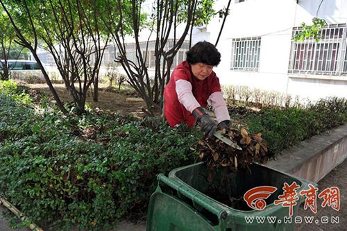 西安一小区新业主主动整理花坛2.jpg