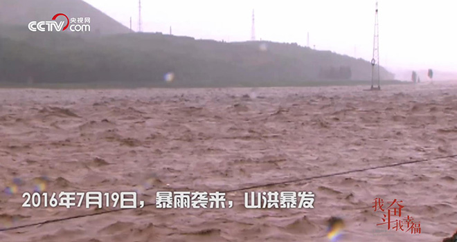 他靠植树感动世界3.jpg