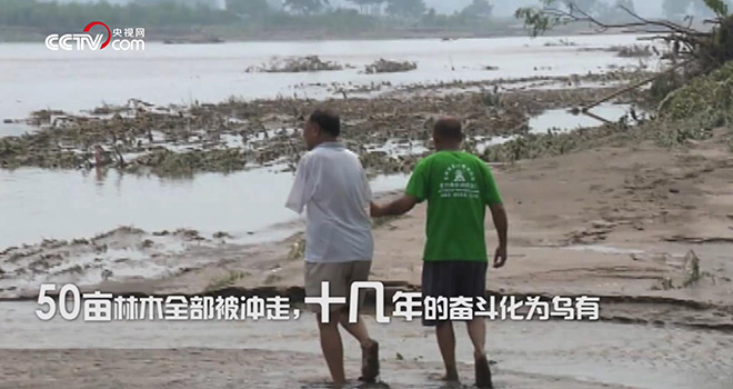 他靠植树感动世界4.jpg