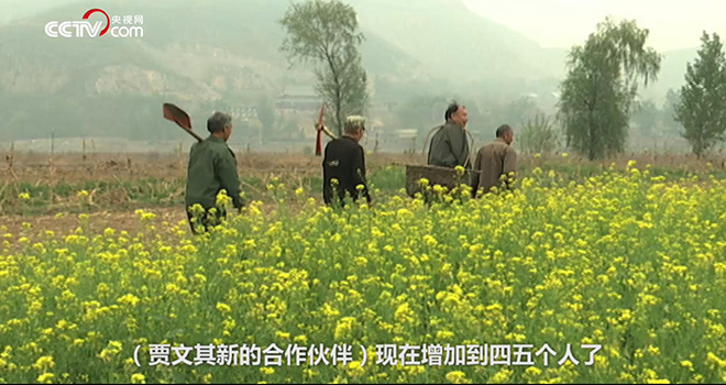 他靠植树感动世界5.jpg