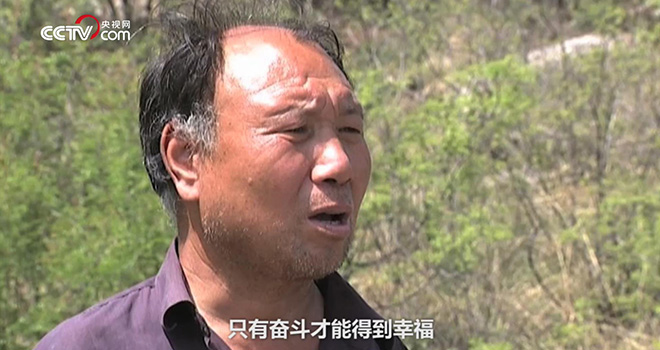 他靠植树感动世界6.jpg