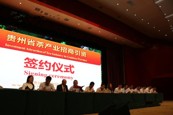 第三届国际茶叶采购商大会在遵义湄潭县召开_副本.jpg