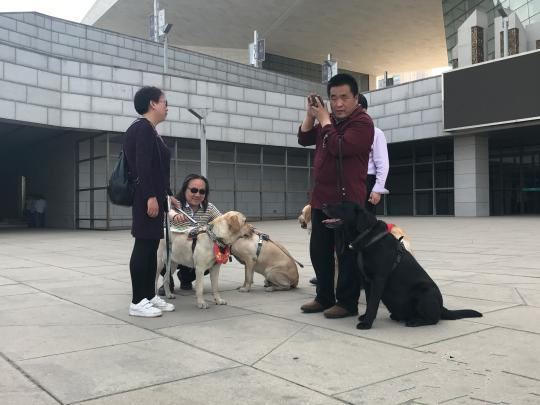 山西盲人携导盲犬闹市行走_副本.jpg