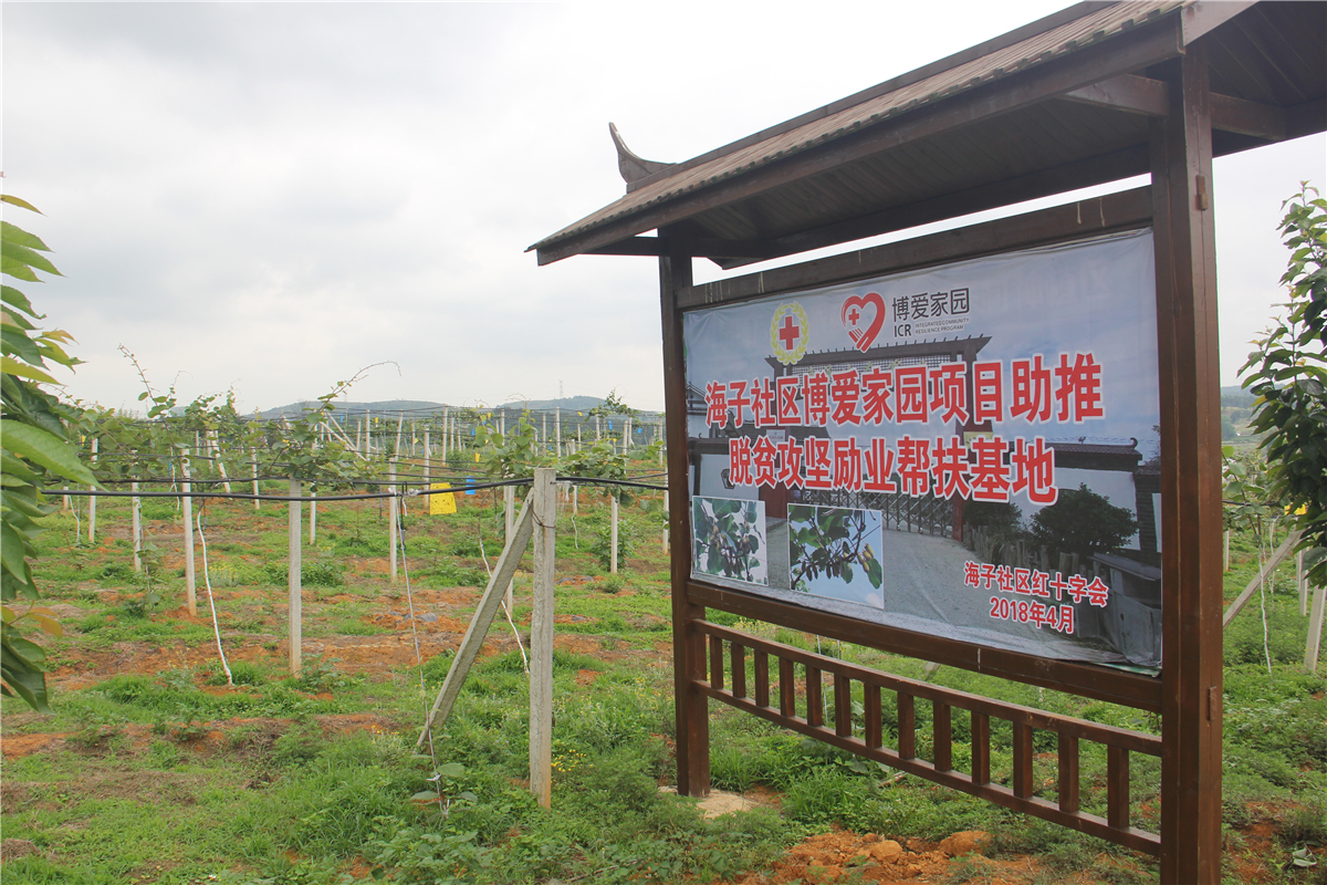 海子村博爱家园项目猕猴桃种植励业帮扶示范基地.JPG