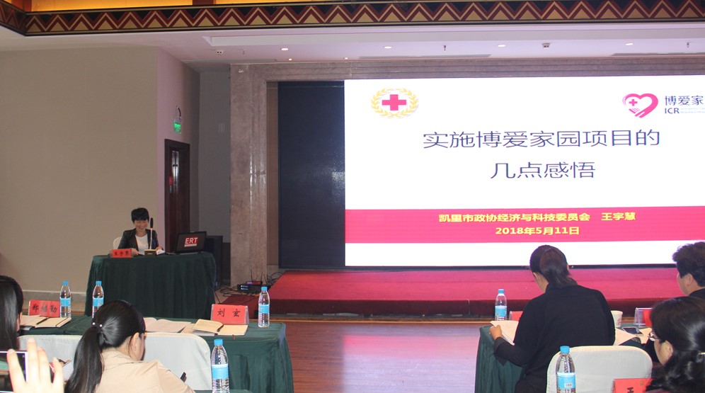 凯里市大风洞乡杉树林村红十字会作经验交流.JPG