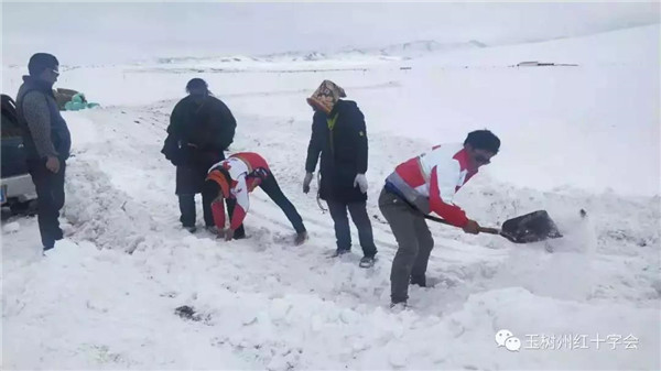 微信图片_20190312132436.jpg