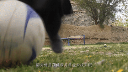 1.gif