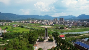 大山深处的红十字回响：四兄弟与百具瓷棺的人道记忆