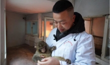 黔北生灵守护者： 上千只野生动物获救背后的故事
