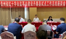 贵州省红十字会监事会建设丹寨县试点工作总结座谈会召开