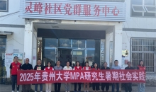 凝聚青春力量 赋能乡村振兴