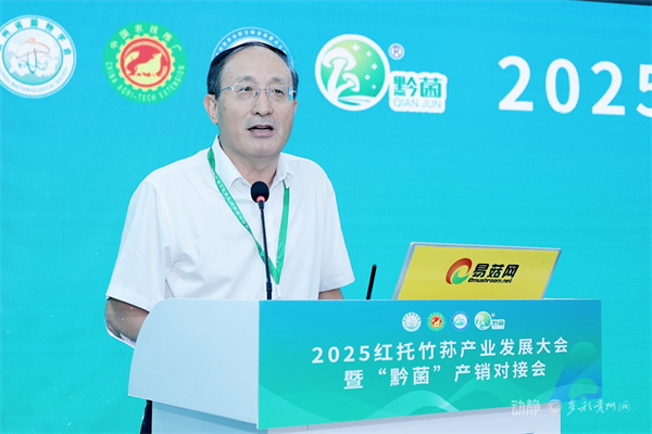 86d183b2e3dc0d14debe178af244910b.jpg