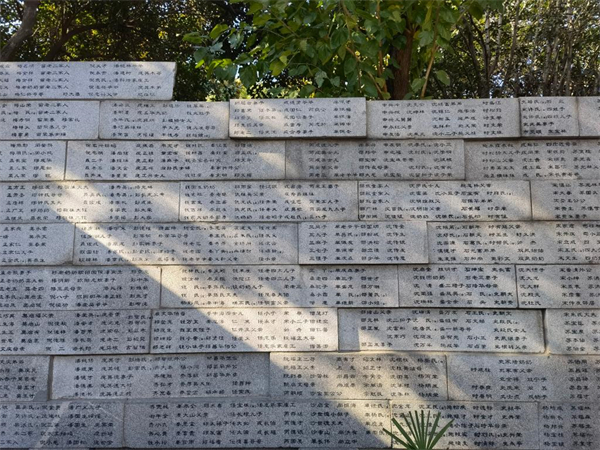a213054657c31577680cc587c43801a5.jpg