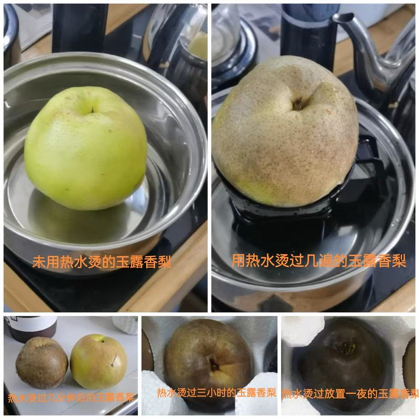 9a27cb9a7a77b2e055df092a406267e9.jpg