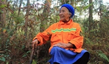 与树为伴四十载 88岁高龄女护林员仍坚持巡山