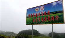 脱贫攻坚“新引擎”