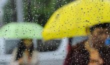 春天来了！贵州大部升温但有阵雨
