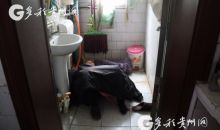 83岁老人手臂被卡下水道 消防员徒手刨开混泥土