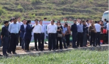 关岭举行脱贫攻坚春风行动产业发展现场观摩会