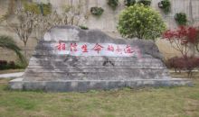 遵义：送教上门志愿服务 给智障儿童更多关爱