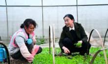 【脱贫攻坚群英谱·基层干部】余必丽：带民致富的布依女当家