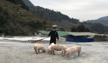 【脱贫攻坚】吴邦勇：用行动书写驻村风采