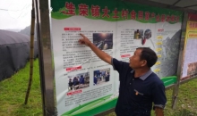 龙贵雄：一生只为一座村