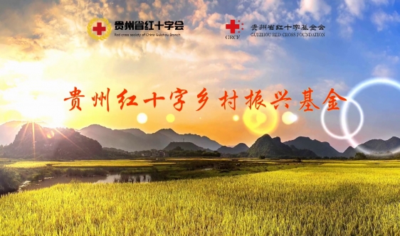 贵州红十字乡村振兴基金