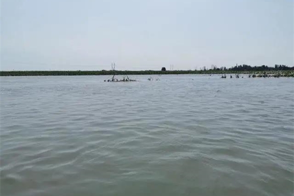 933ada28735233d9fcca791297427528.jpg