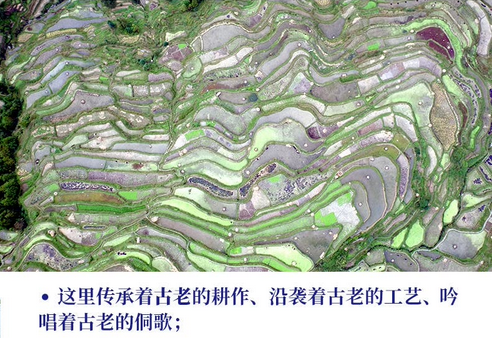 df5583be82bd435aec499becc9e51907.png