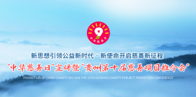 2023届“中华慈善日” 宣传暨“贵州省第十届慈善项目推介会”活动专题