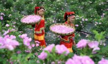 贵州红十字智慧农业·花卉·生态扶贫基地
