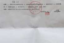 患者检查报告