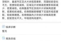 患者检查报告