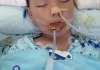 请大家救救我8岁的孩子！