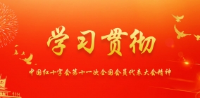 中国红十字会第十一次全国代表大会