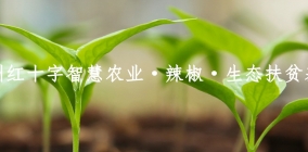 贵州红十字智慧农业·恒新果园·生态扶贫基地