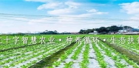 贵州红十字智慧农业·种养循环·生态扶贫基地
